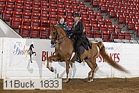 11buck_1833 proof