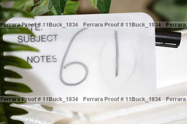 Proof 11buck_1834