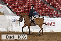 11buck_1836 proof