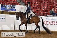 11buck_1839 proof