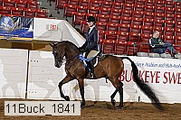 11buck_1841 proof