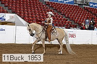 11buck_1853 proof