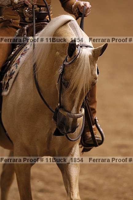 Proof 11buck_1854