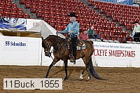 11buck_1855 proof