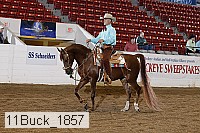 11buck_1857 proof