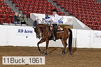 11buck_1861 proof
