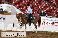 11buck_1863 proof