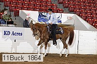 11buck_1864 proof