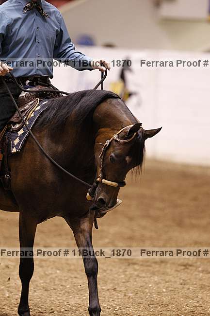 Proof 11buck_1870