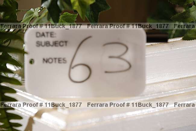 Proof 11buck_1877