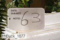 11buck_1877 proof