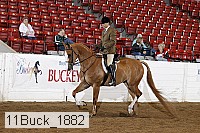 11buck_1882 proof