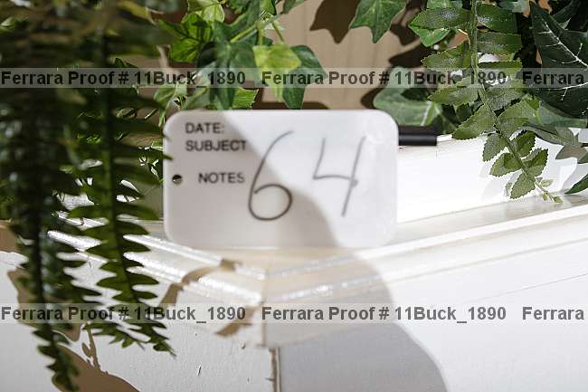 Proof 11buck_1890