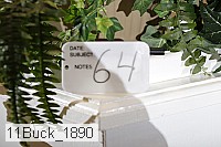 11buck_1890 proof