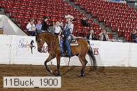 11buck_1900 proof