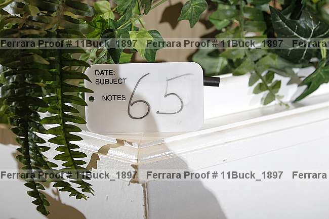 Proof 11buck_1897