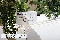 11buck_1897 proof