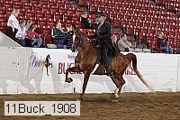 11buck_1908 proof