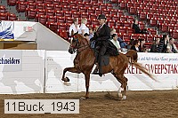 11buck_1943 proof