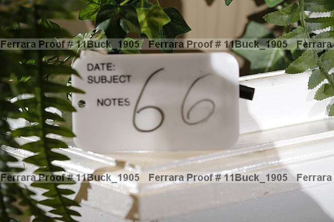 Proof 11buck_1905