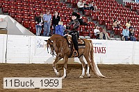 11buck_1959 proof