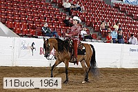 11buck_1964 proof