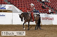 11buck_1967 proof