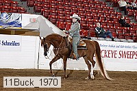 11buck_1970 proof
