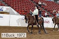 11buck_1972 proof