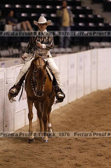 Proof 11buck_1976