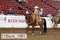 11buck_1981 proof
