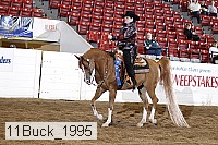 11buck_1995 proof