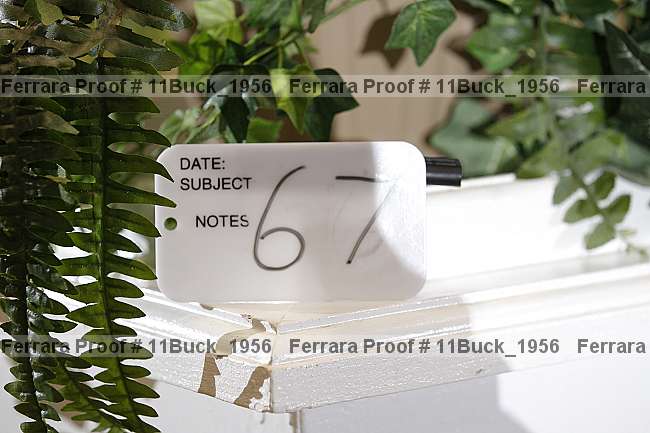 Proof 11buck_1956