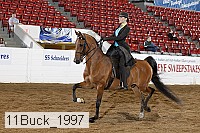 11buck_1997 proof