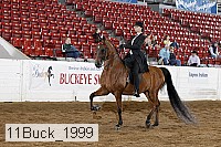 11buck_1999 proof