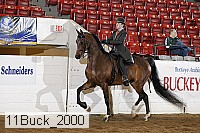 11buck_2000 proof