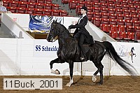 11buck_2001 proof