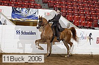 11buck_2006 proof