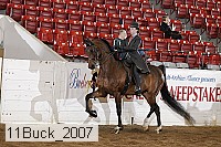 11buck_2007 proof