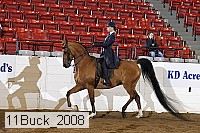 11buck_2008 proof