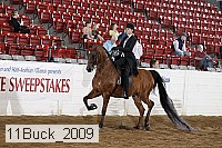 11buck_2009 proof