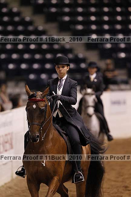 Proof 11buck_2010