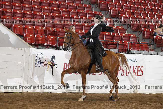 Proof 11buck_2013