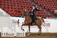 11buck_2013 proof
