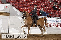 11buck_2015 proof
