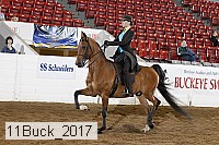 11buck_2017 proof