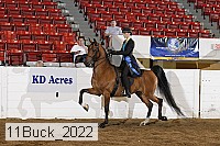 11buck_2022 proof