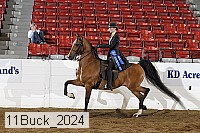 11buck_2024 proof