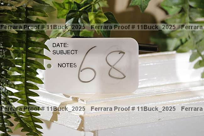 Proof 11buck_2025