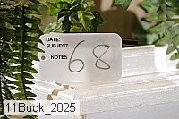 11buck_2025 proof